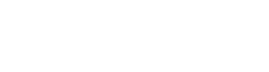 Darlington Borough Council