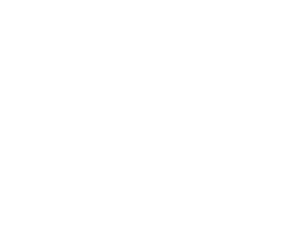 Halton Borough Council
